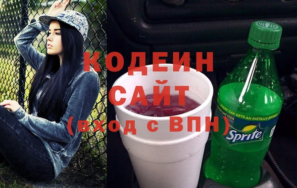 хмурый Бердск