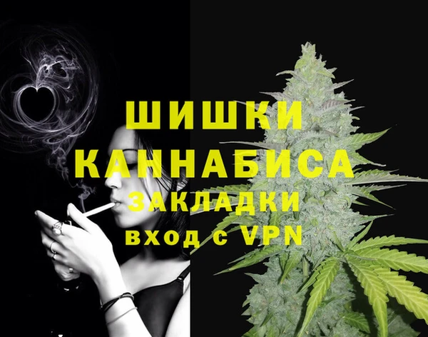 мдпв Яранск