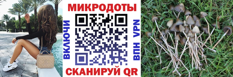 Галлюциногенные грибы прущие грибы  даркнет сайт  сайты даркнета формула  Реутов 