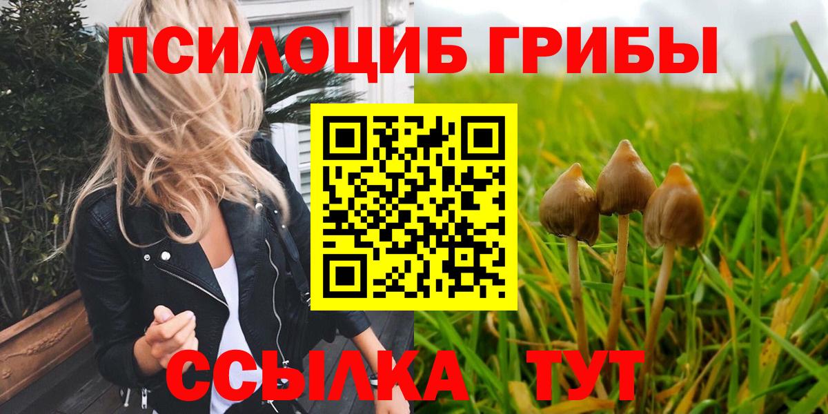 Галлюциногенные грибы мицелий Реутов